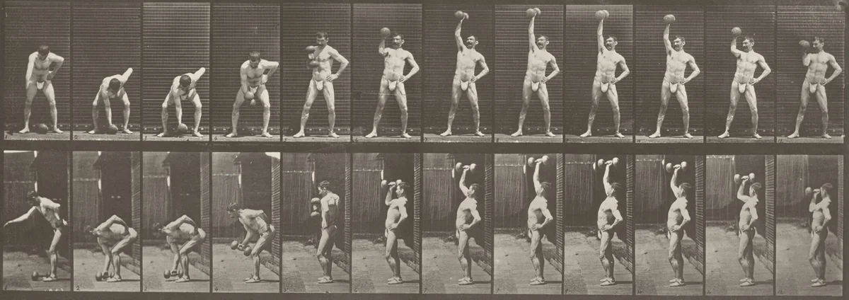 Plate Number 320. Lifting a 50-lb. dumbbell by Eadweard Muybridge, photograph, 1887