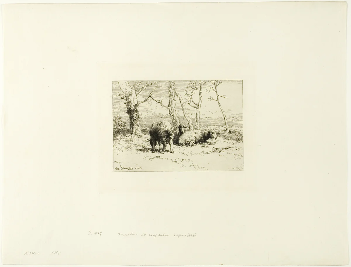 Sheep and Five Trees by Charles-Émile Jacque, print, 1868