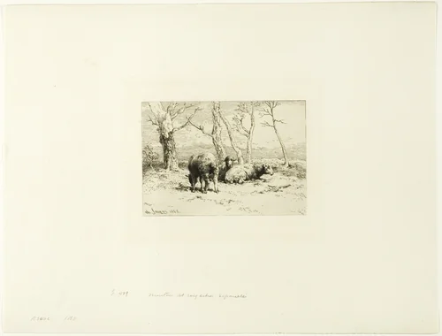Sheep and Five Trees by Charles-Émile Jacque, print, 1868