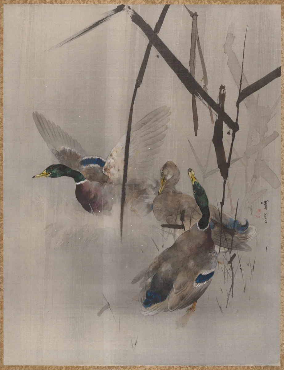 Ducks in the Rushes by Watanabe Seitei (渡辺省亭), painting, 1877-1897