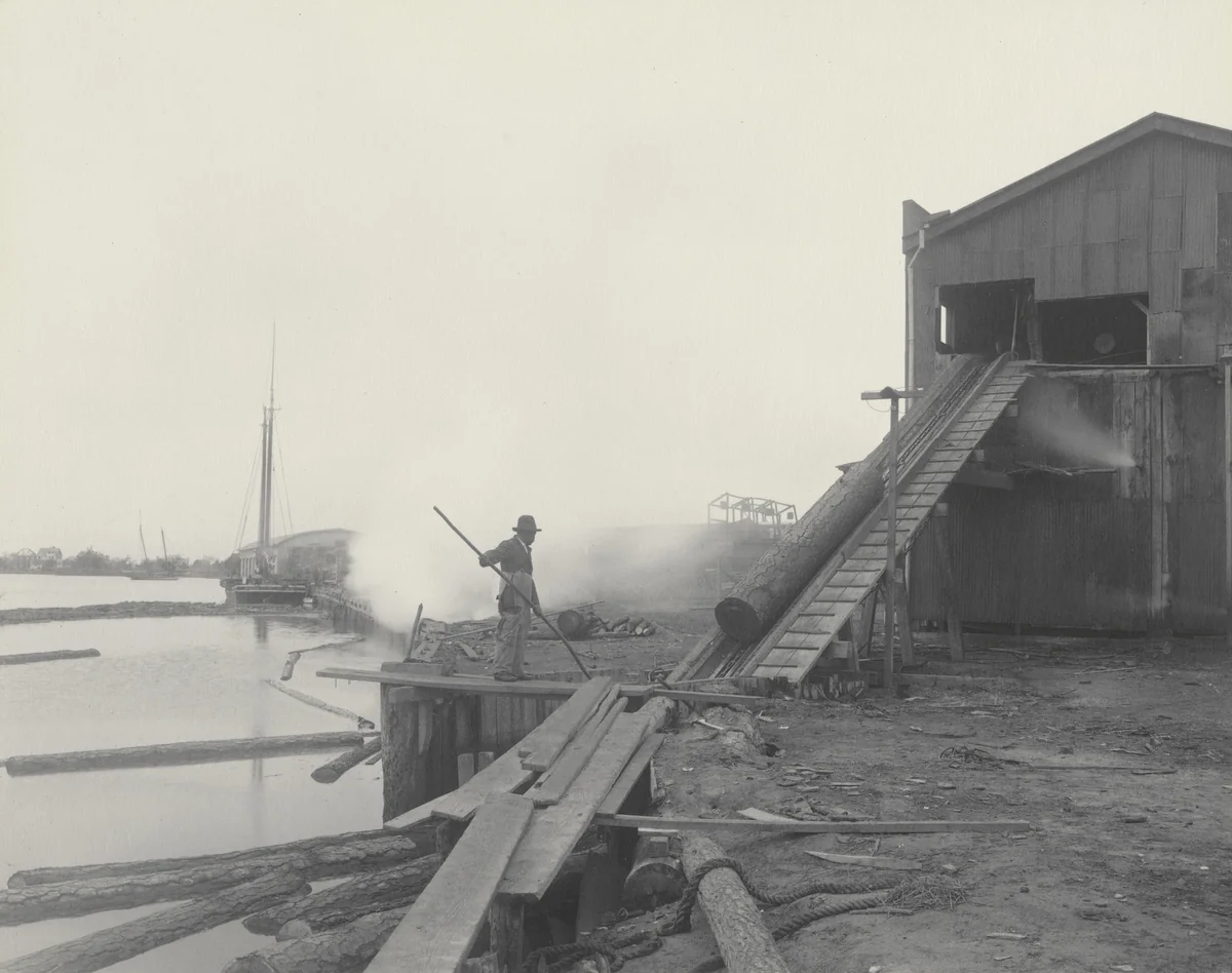 The Saw Mill. From the raft to the saw by Frances Benjamin Johnston, photograph, 1899