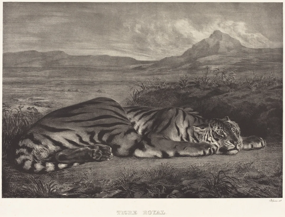 Royal Tiger (Tigre Royal) by Eugène Delacroix, print, 1829