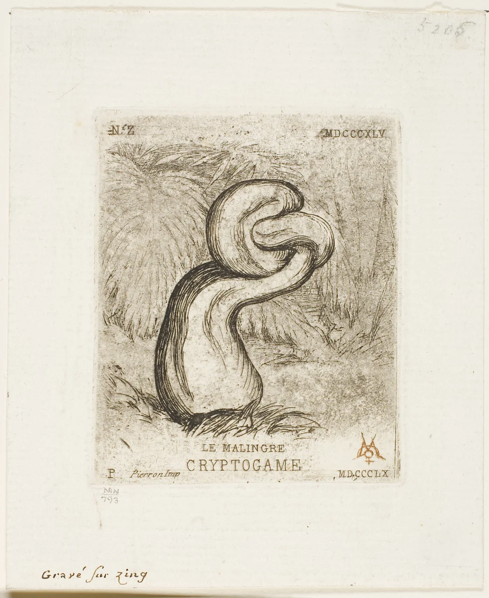 The Sickly Cryptogam by Charles Meryon, print, 1860