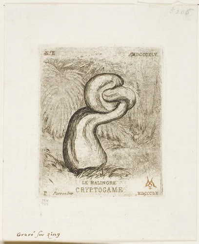 The Sickly Cryptogam by Charles Meryon, print, 1860