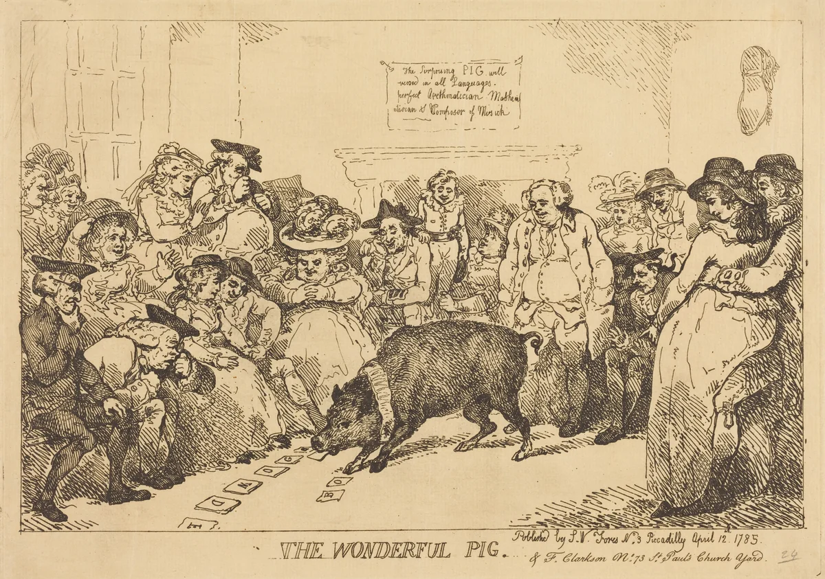 The Wonderful Pig by Thomas Rowlandson, print, 1785