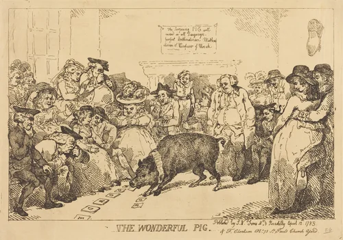 The Wonderful Pig by Thomas Rowlandson, print, 1785