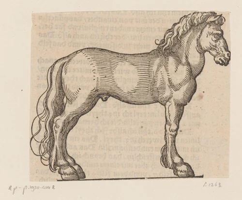 Model voor een paard by anonymous, print, 1565