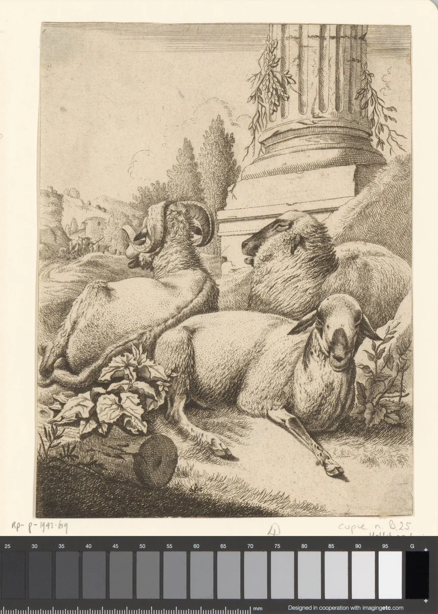 Twee schapen en een ram bij voet van een zuil by anonymous, print, 1670
