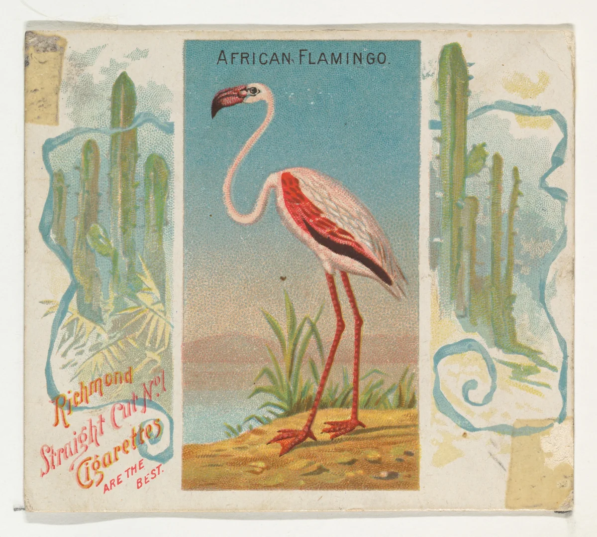 African Flamingo, from Birds of the Tropics series (N38) for Allen & Ginter Cigarettes by Allen & Ginter, print, 1889