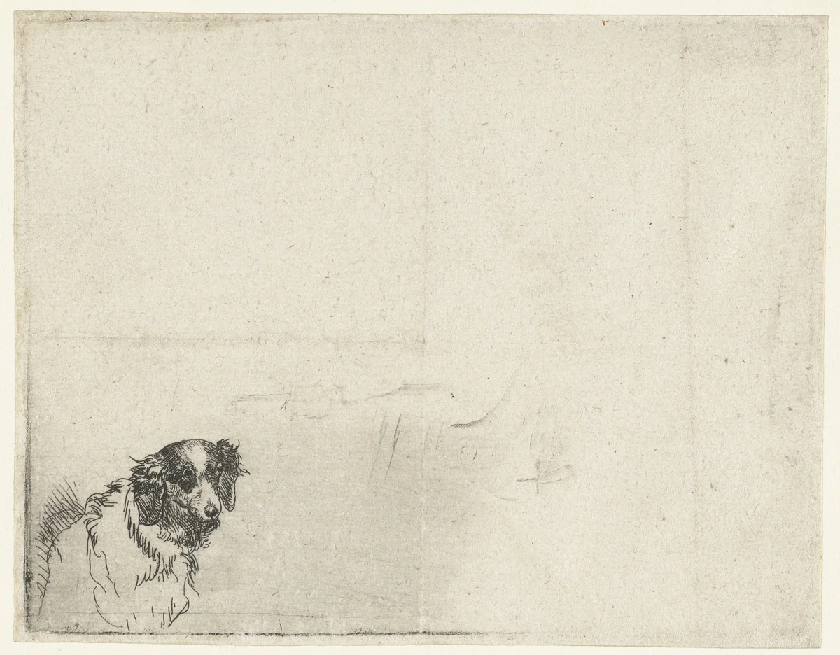 Kop van een hond by anonymous, print, 1630-1700