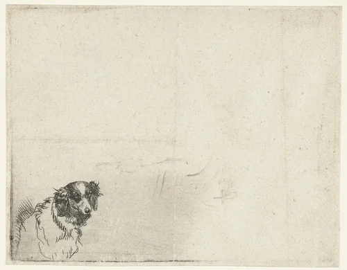 Kop van een hond by anonymous, print, 1630-1700