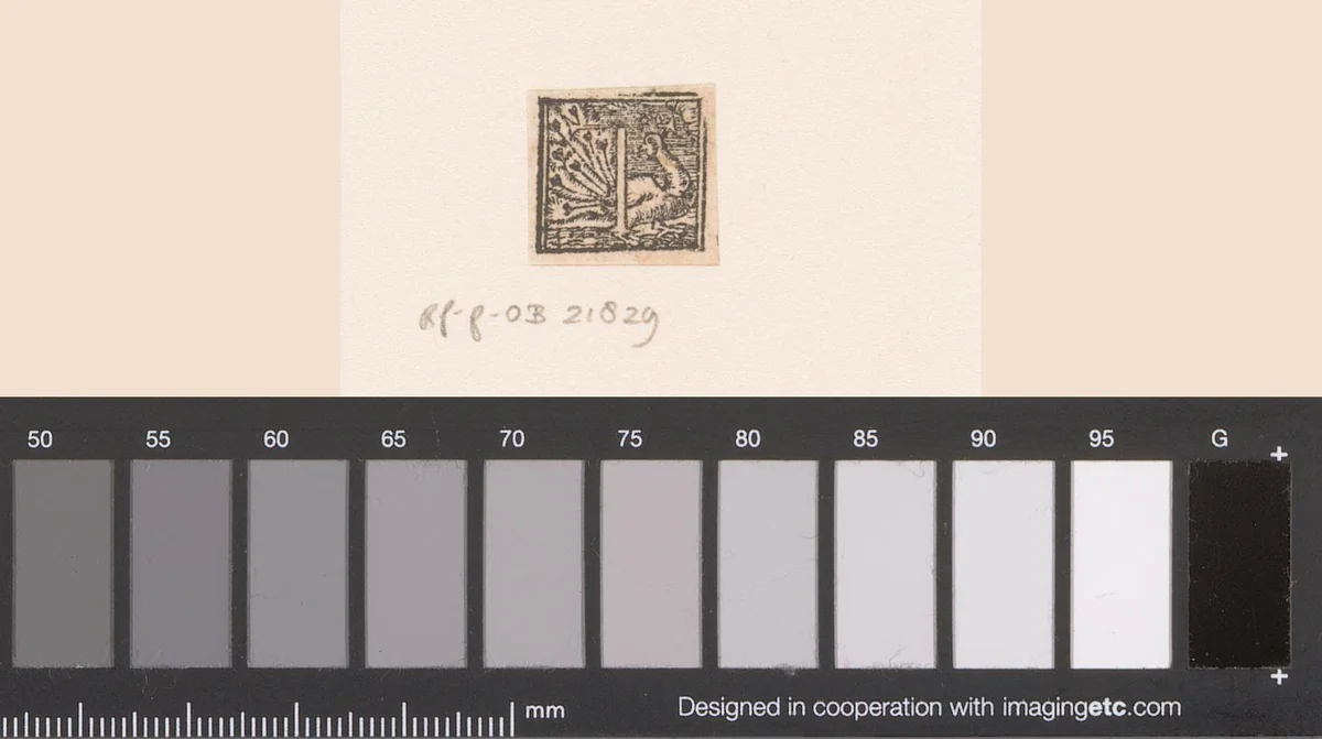 Letter T: pauw by anonymous, print, 1556