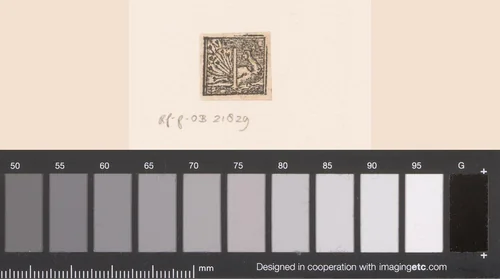 Letter T: pauw by anonymous, print, 1556