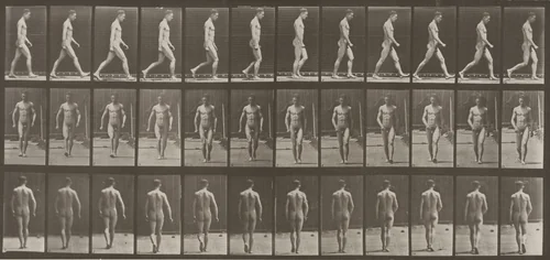 Plate Number 1. Walking by Eadweard Muybridge, photograph, 1887
