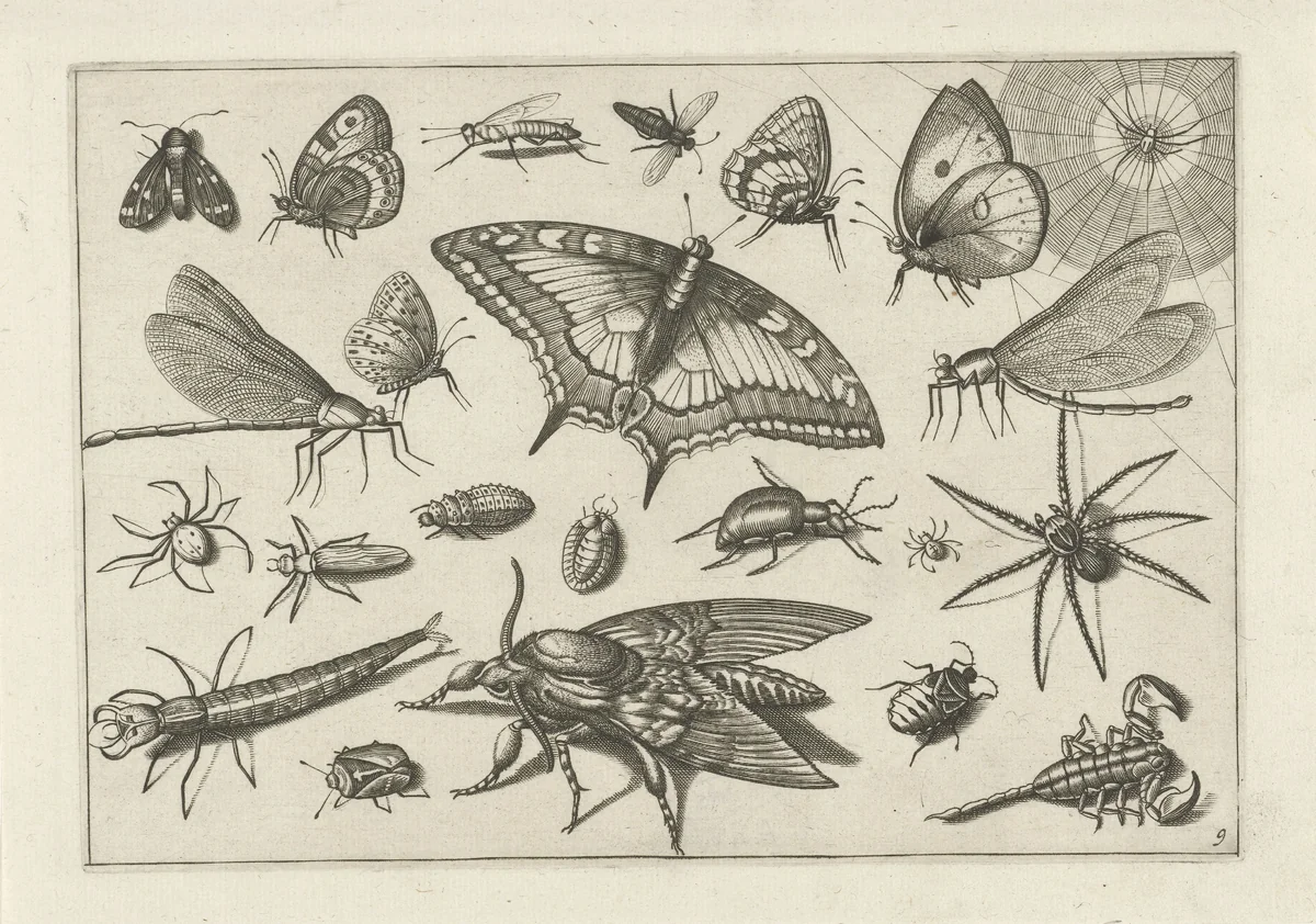 Insecten by Jacob Hoefnagel, print, 1630