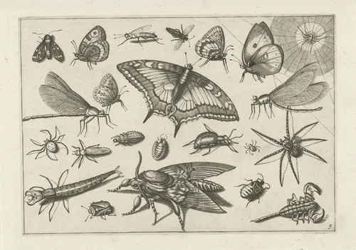 Insecten by Jacob Hoefnagel, print, 1630