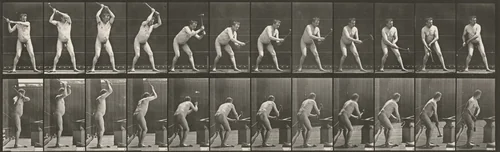 Plate Number 376. Blacksmith, hammering on anvil with two hands by Eadweard Muybridge, photograph, 1887