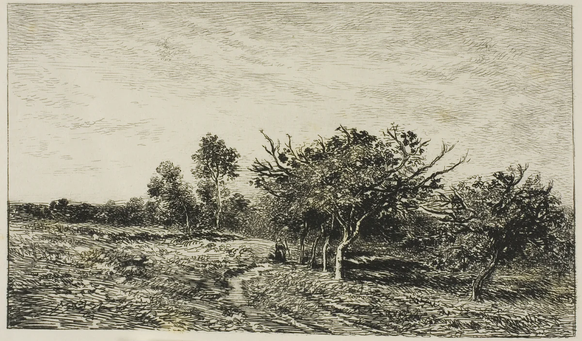 Apple Trees at Auvers by Charles-François Daubigny, print, 1877
