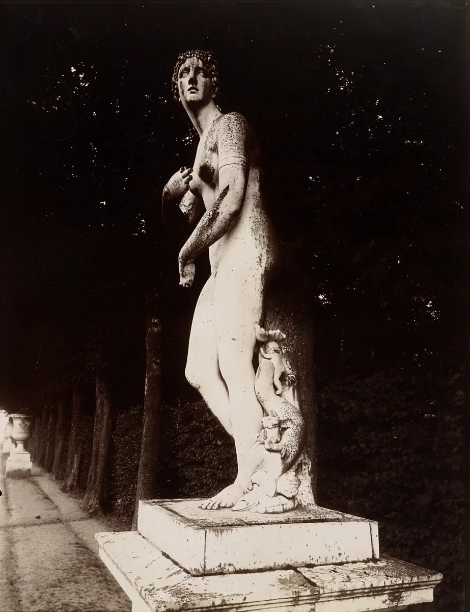 Versailles, Vénus par Legros by Eugène Atget, photograph, 1923