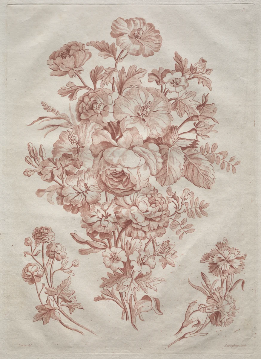 Spray of Flowers by Roubillac, print, 1774-1800