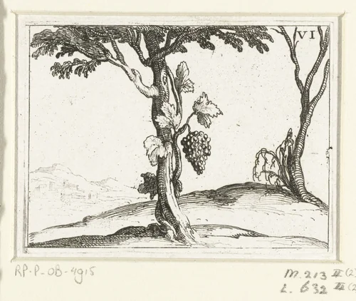 Wijnstok bij een boom by Jacques Callot, print, 1625-1629