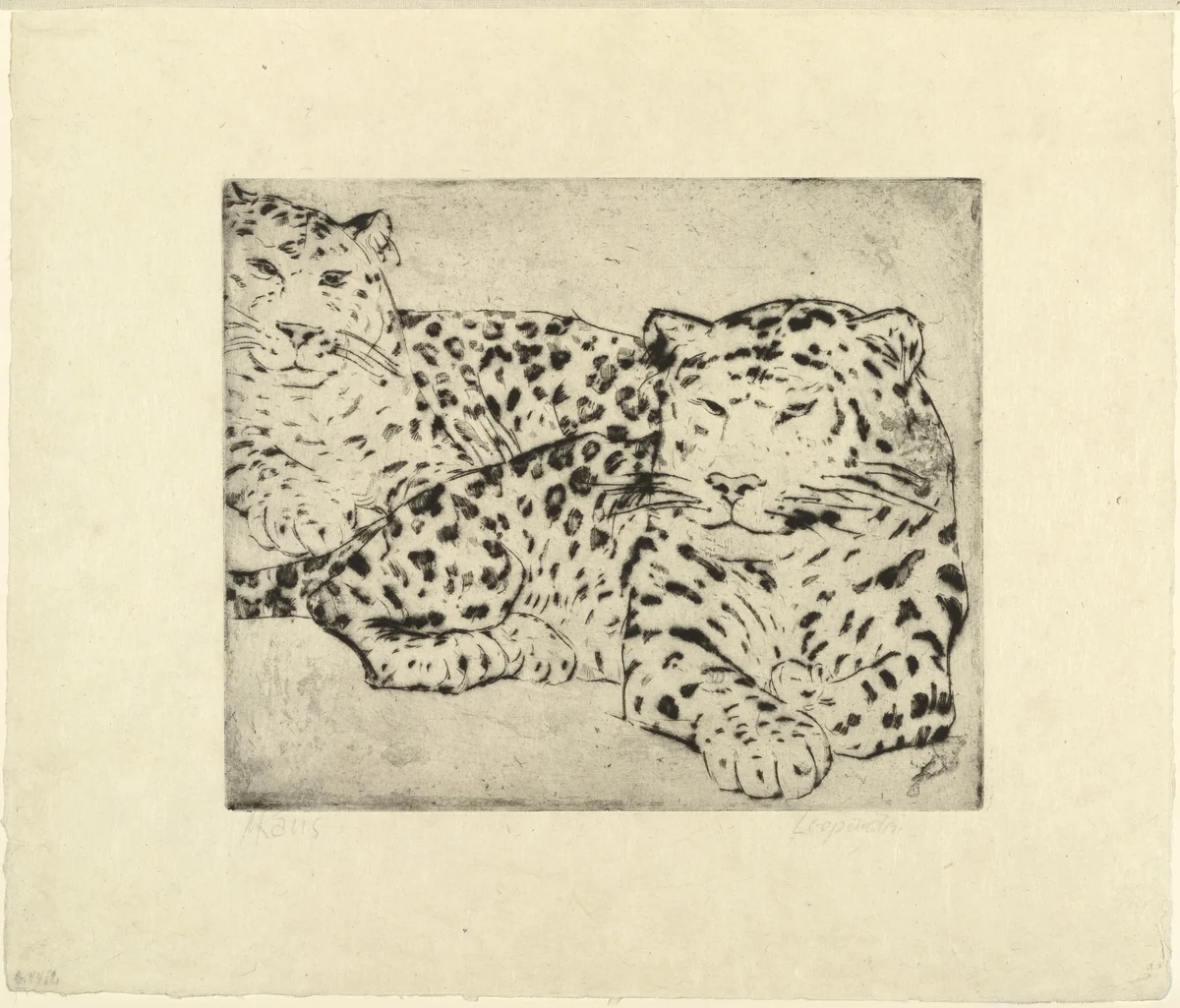 Leopards (Leoparden) by Max Kaus, print, 1926