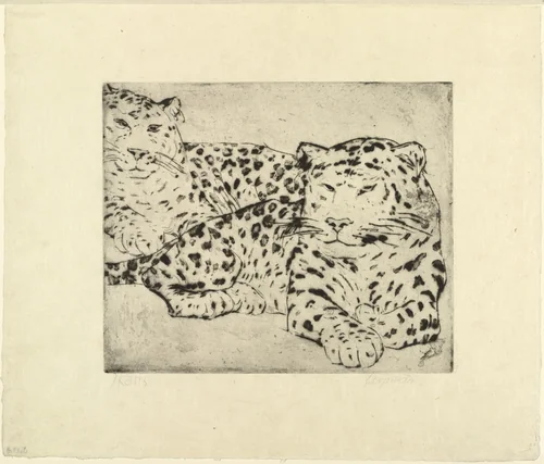 Leopards (Leoparden) by Max Kaus, print, 1926