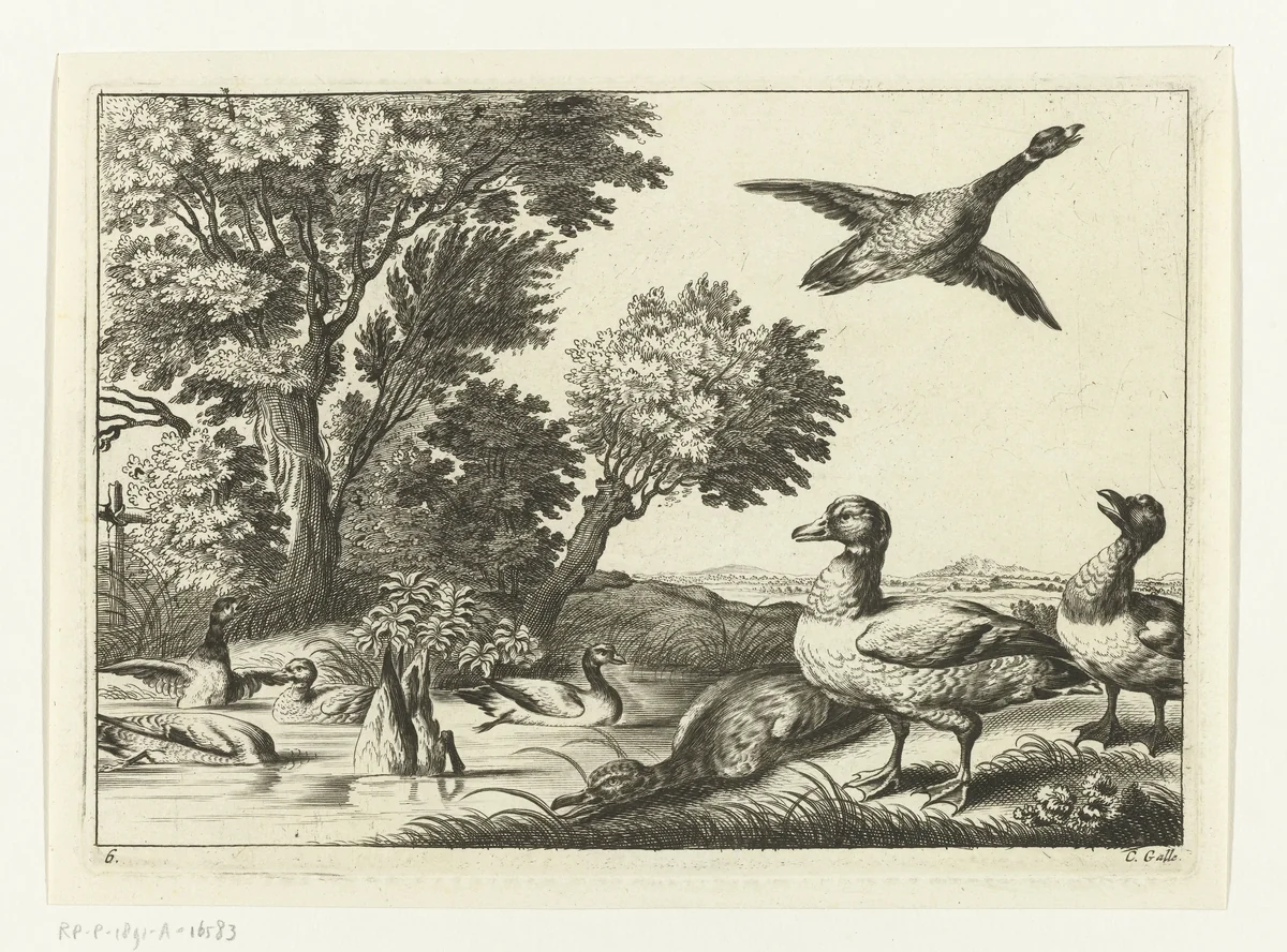 Eenden by Peter van Liesebetten, print, 1654-1678