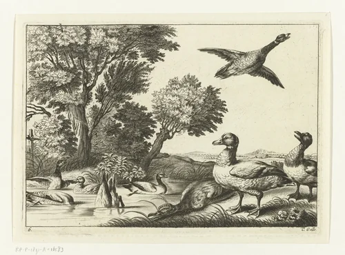Eenden by Peter van Liesebetten, print, 1654-1678