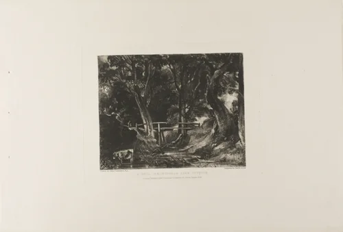A Dell, Helmingham Park, Suffolk by David Lucas, print, 1830