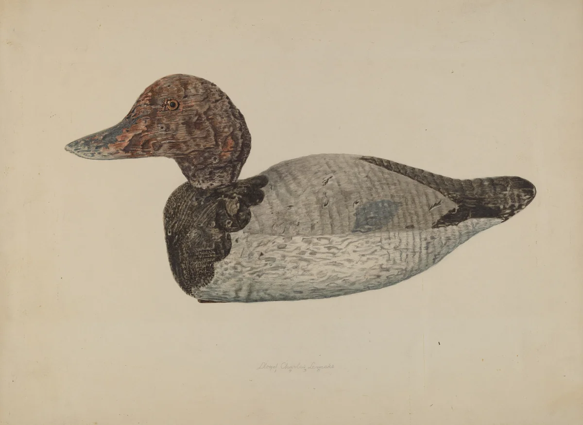 Decoy Duck #1 by Lloyd Charles Lemcke, index of american design, 1938