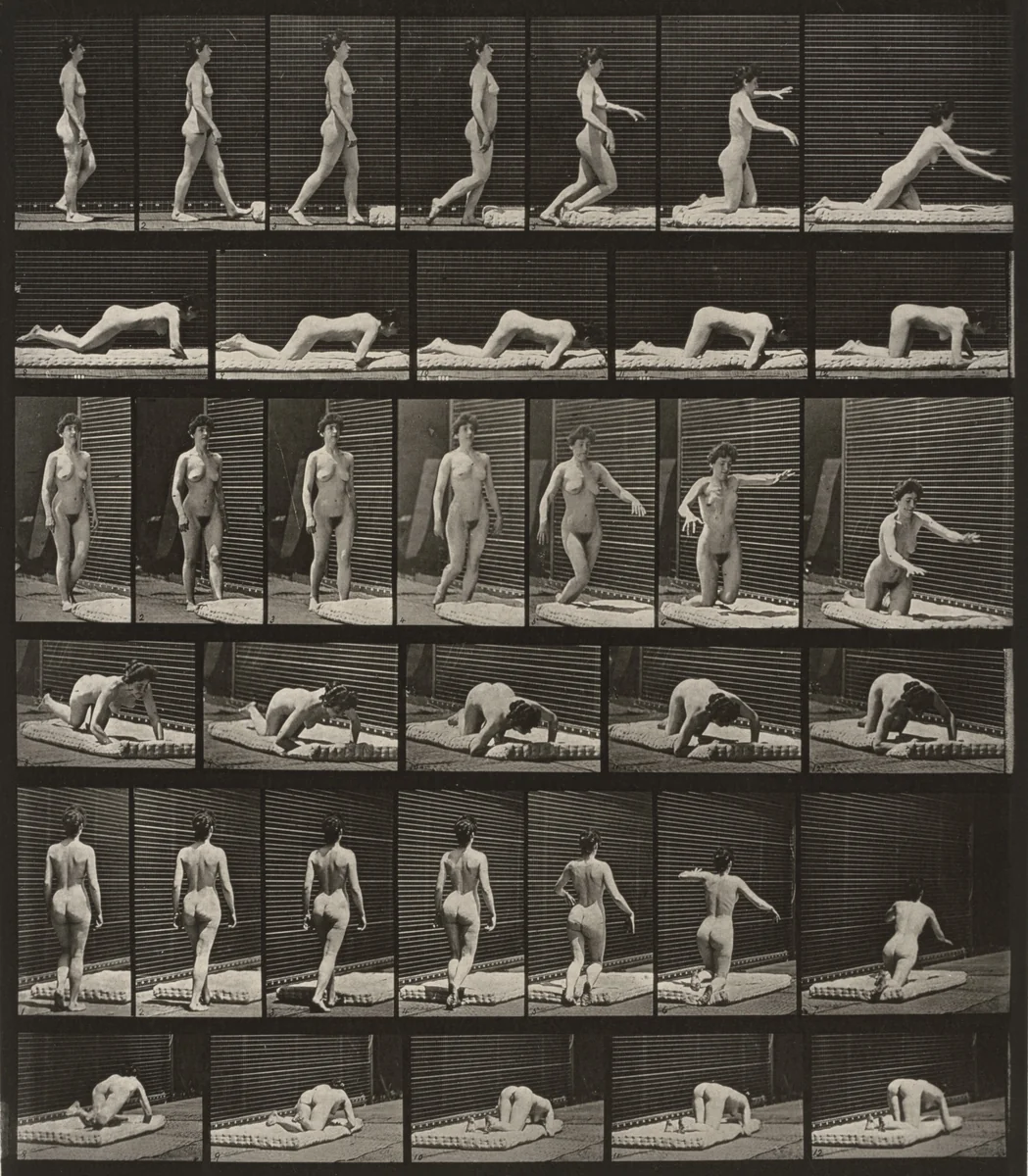 Plate Number 272. Stumbling and falling on the ground by Eadweard Muybridge, photograph, 1887