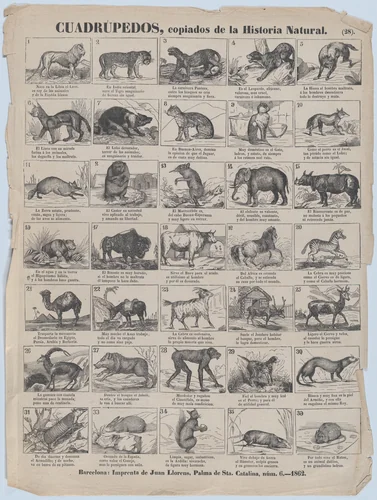 Broadside with 36 images of quadrupeds (animals) by Juan Llorens, print, 1862
