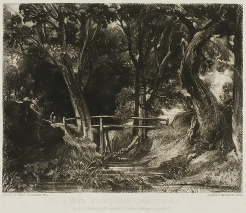 A Dell, Helmingham Park, Suffolk by David Lucas, print, 1830