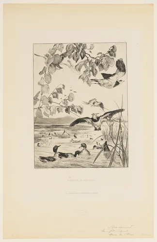 Vanneaux et Sarcelles by Félix Bracquemond, print, 1857-1867