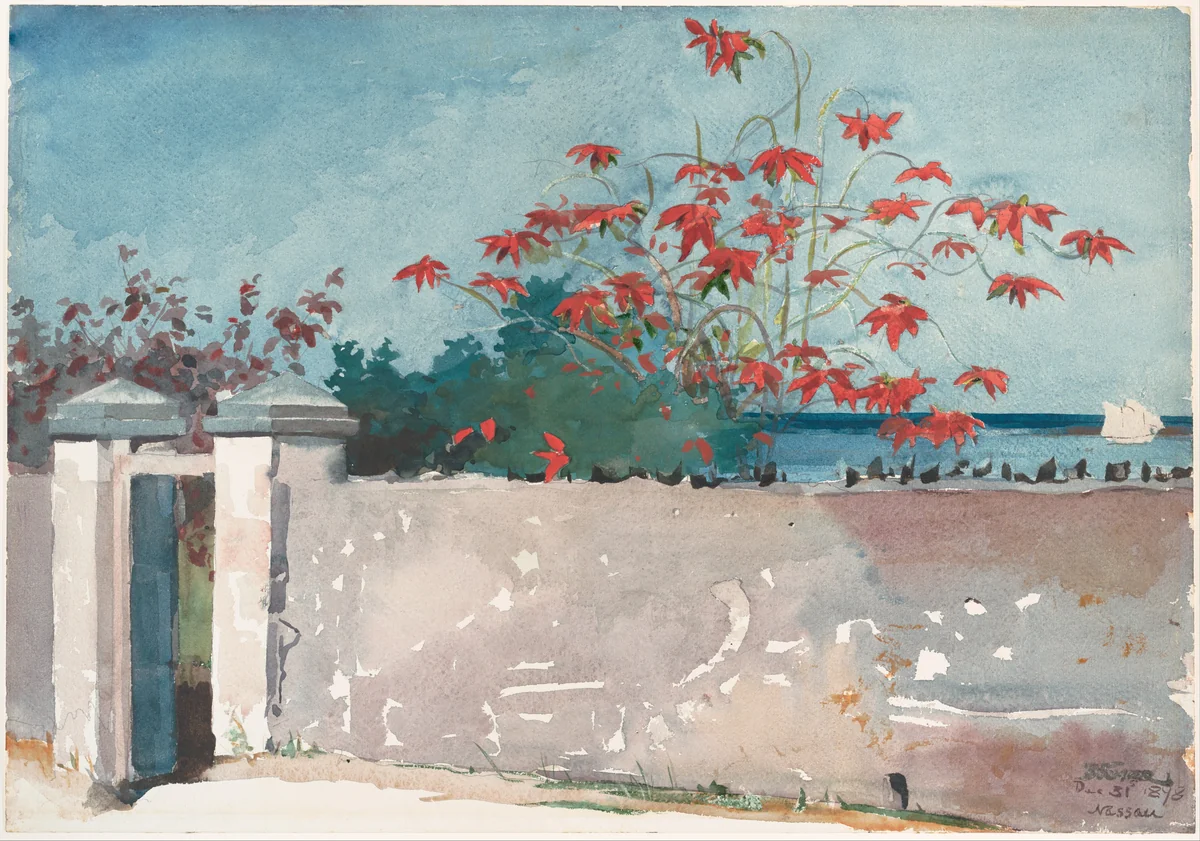 A Wall, Nassau by Winslow Homer, artwork, 1898