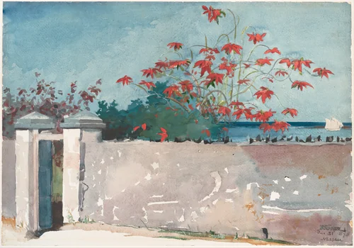 A Wall, Nassau by Winslow Homer, artwork, 1898