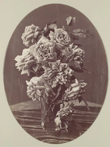 [Roses] by Eugène Chauvigné, photograph, 1873-1877