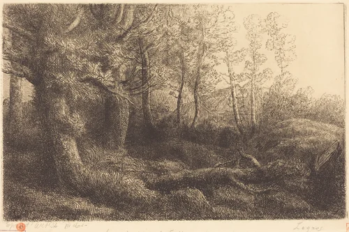 In the Forest (Lisiere de foret) by Alphonse Legros, print, 1837-1911