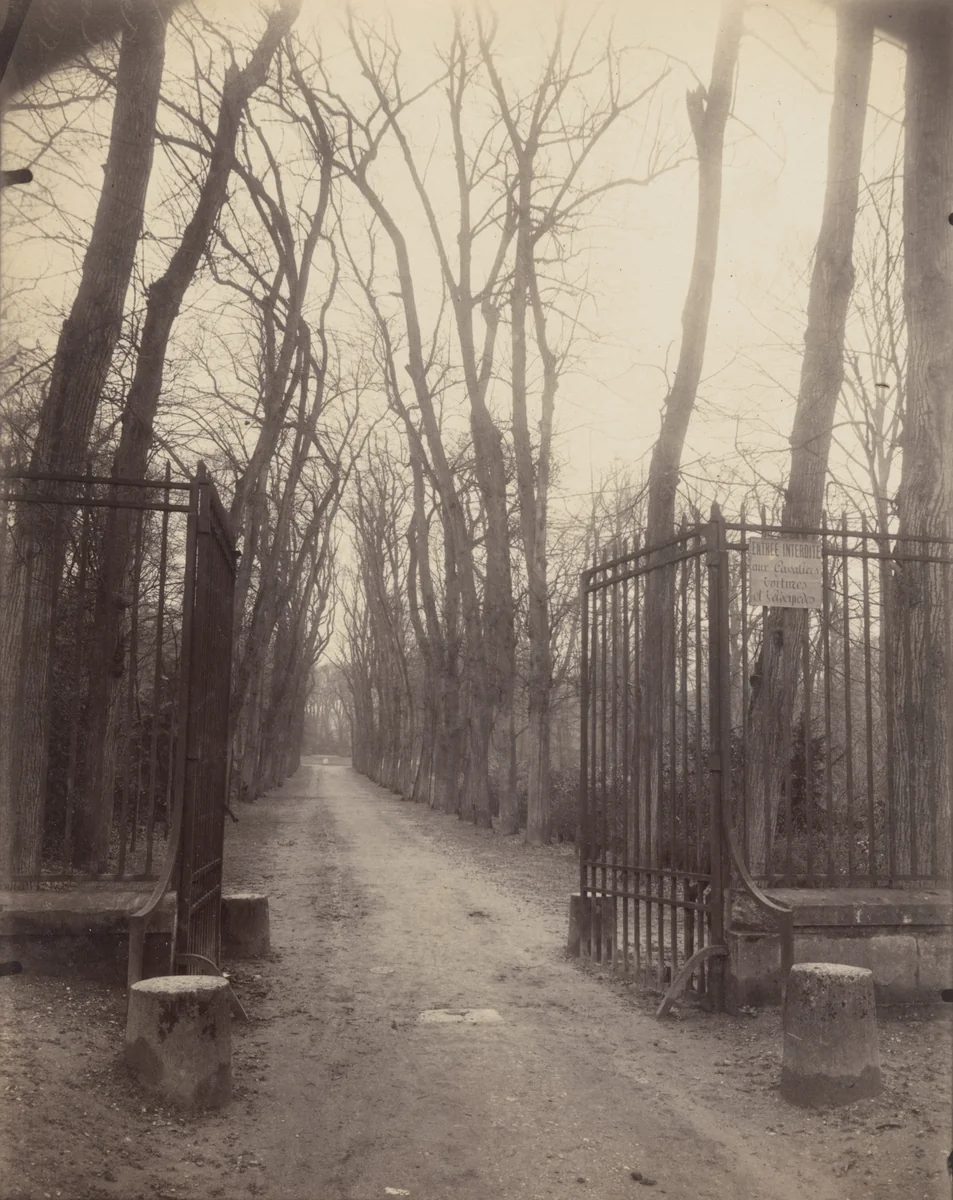 Saint-Cloud by Eugène Atget, photograph, 1924
