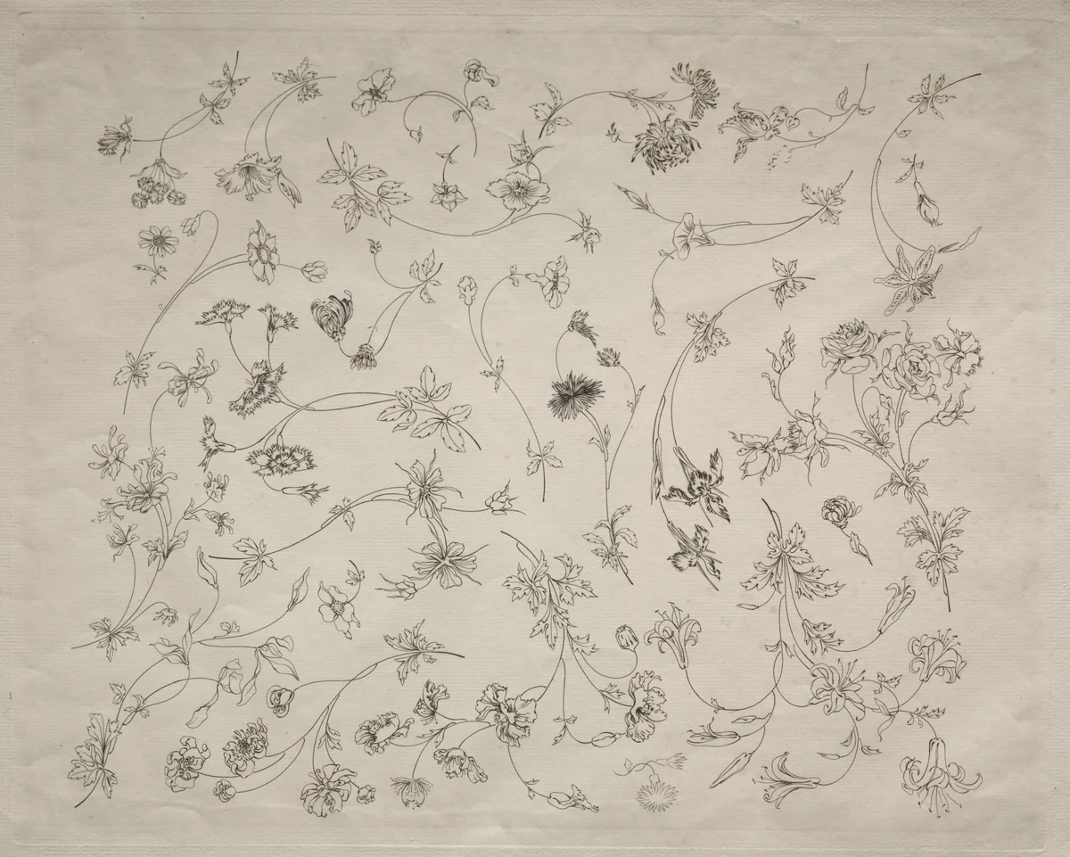 Flower designs for plates and borders (no. 14) by Félix Bracquemond, print, 1872