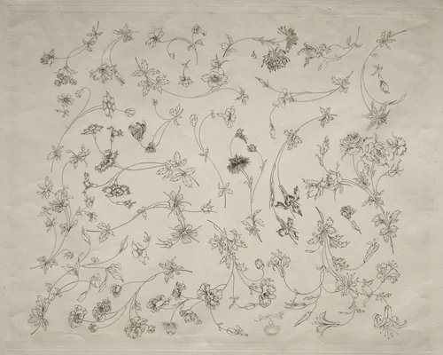 Flower designs for plates and borders (no. 14) by Félix Bracquemond, print, 1872