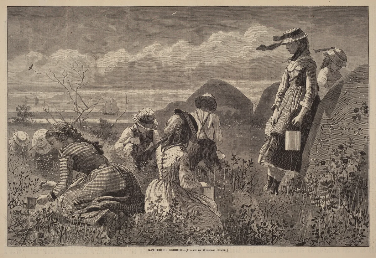 Gathering Berries by Winslow Homer, print, 1874