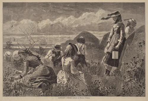 Gathering Berries by Winslow Homer, print, 1874