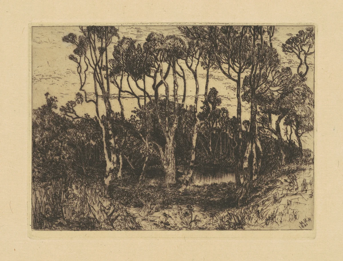 Solitude by Mary Nimmo Moran, print, 1880