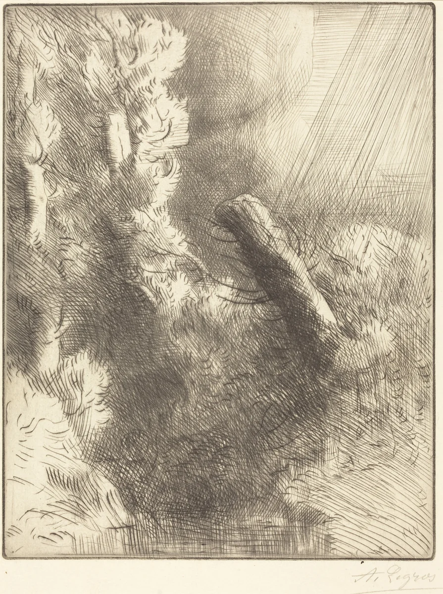 Memories of Fountainebleau in the Rain (Souvenir de Fountainebleau (Effet de pluie)) by Alphonse Legros, print, 1837-1911