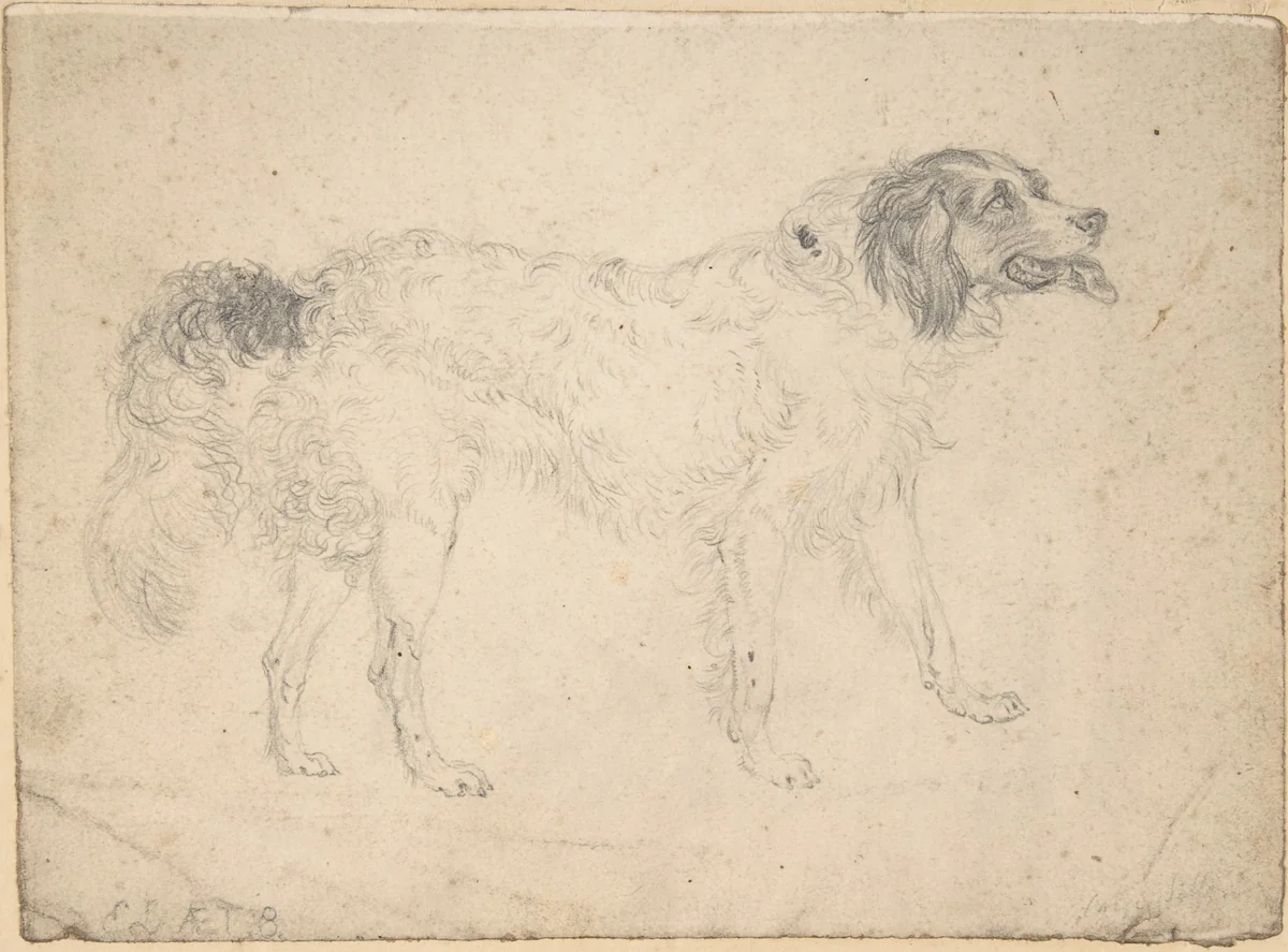Study of a herding dog facing right by Edwin Henry Landseer, drawing, 1810