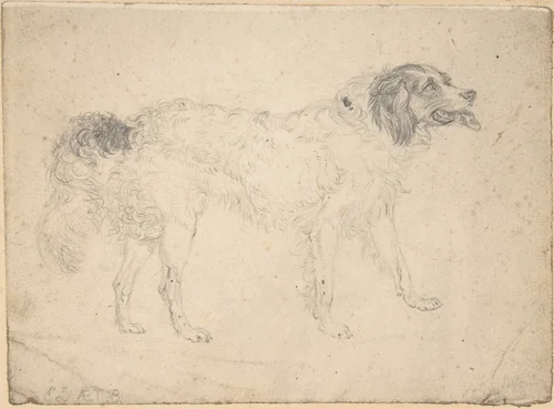Study of a herding dog facing right by Edwin Henry Landseer, drawing, 1810