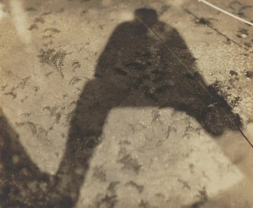 Shadow in Lake by Alfred Stieglitz, photograph, 1916