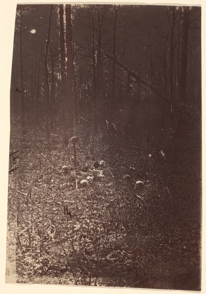 [The Wilderness Battlefield, near Spotsylvania, Virginia] by G. O. Brown, photograph, 1866